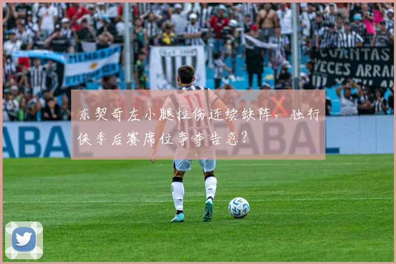 东契奇左小腿拉伤连续缺阵，独行侠季后赛席位争夺告急？